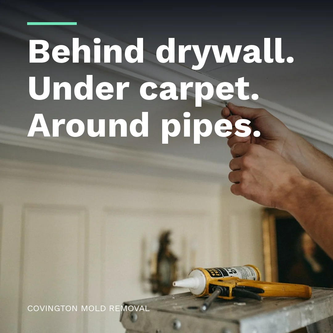 Behind drywall. Under carpet. Around pipes.